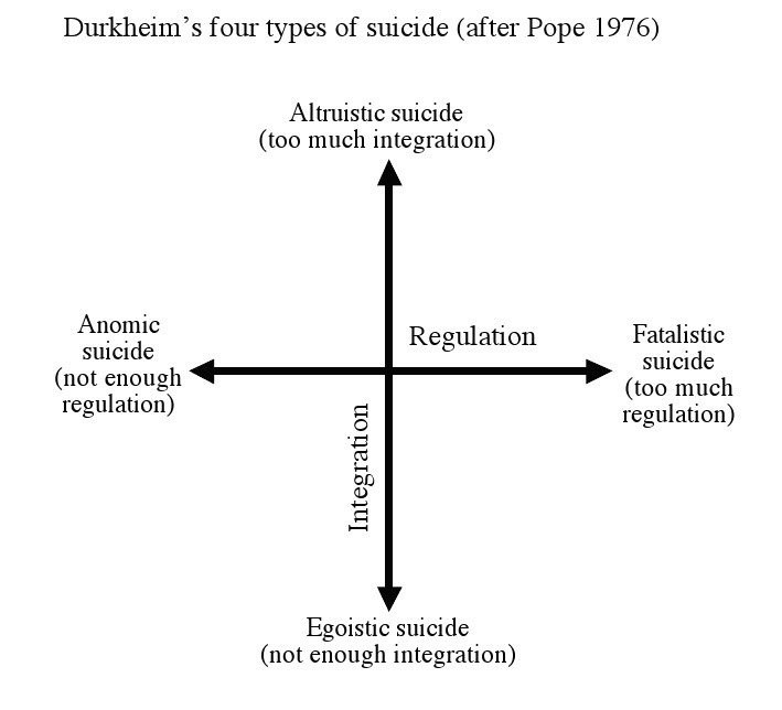 Suicide - A Social Fact - Just A Library